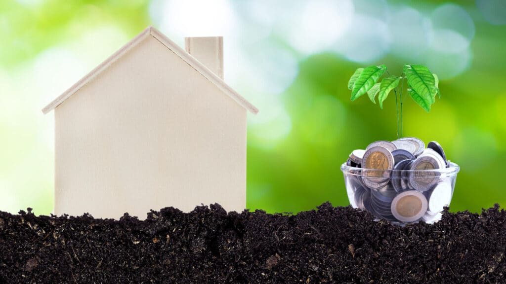 השקעה בצפון