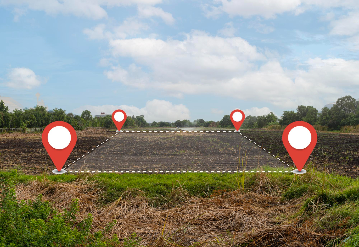 קרקעות להשקעה בדרום