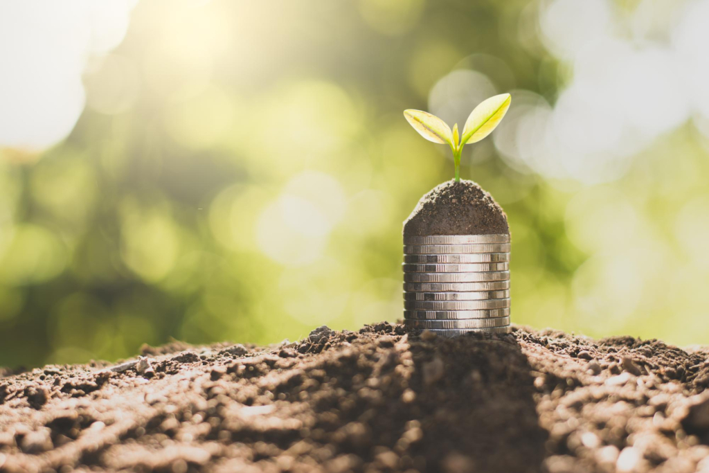 Land for Investment in Israel