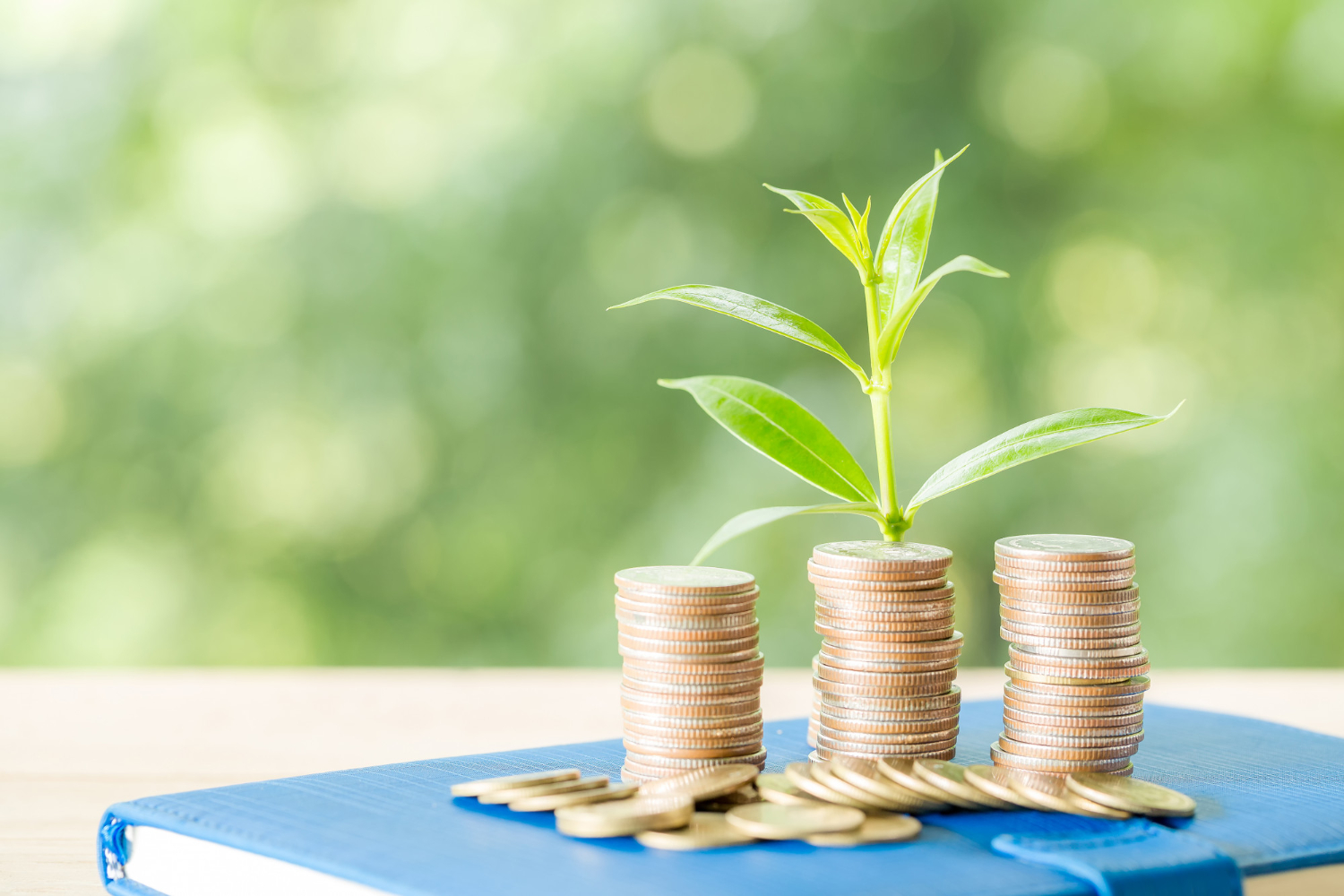 קרקעות להשקעה בישראל